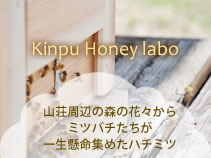 Kinpu Honey labo 山荘周辺の森の花々からミツバチたちが一生懸命集めたハチミツ