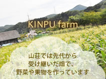 KINPU farm 山荘では先代から受け継いだ畑で、野菜や果物を作っています